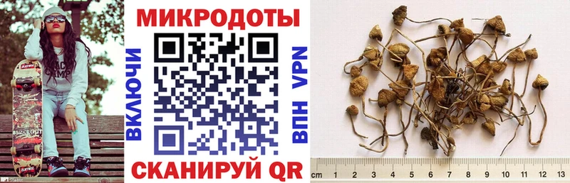 Галлюциногенные грибы GOLDEN TEACHER  мега ссылки  Отрадная 